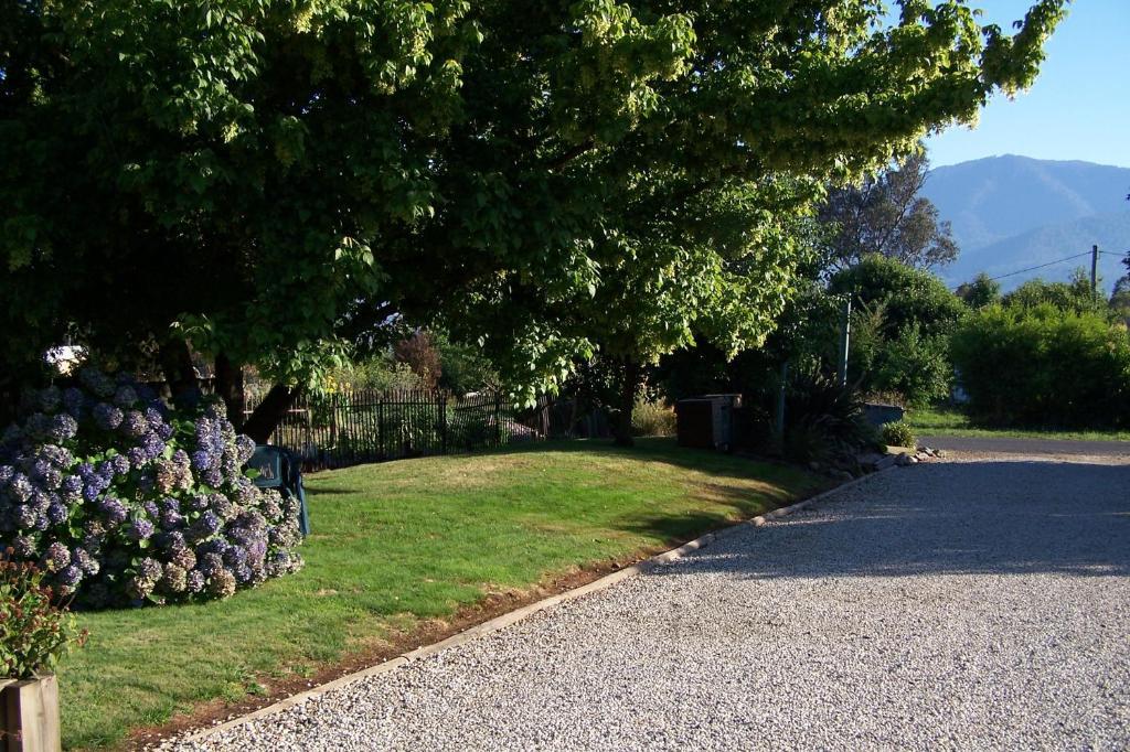 Bogong Moth Motel Mount Beauty Εξωτερικό φωτογραφία