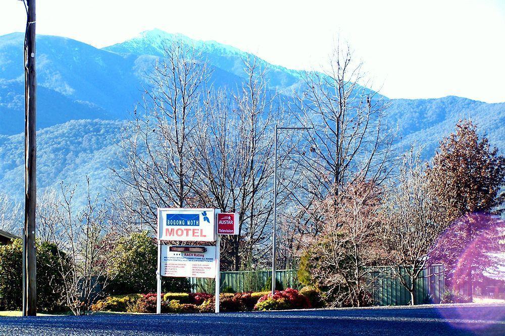 Bogong Moth Motel Mount Beauty Εξωτερικό φωτογραφία