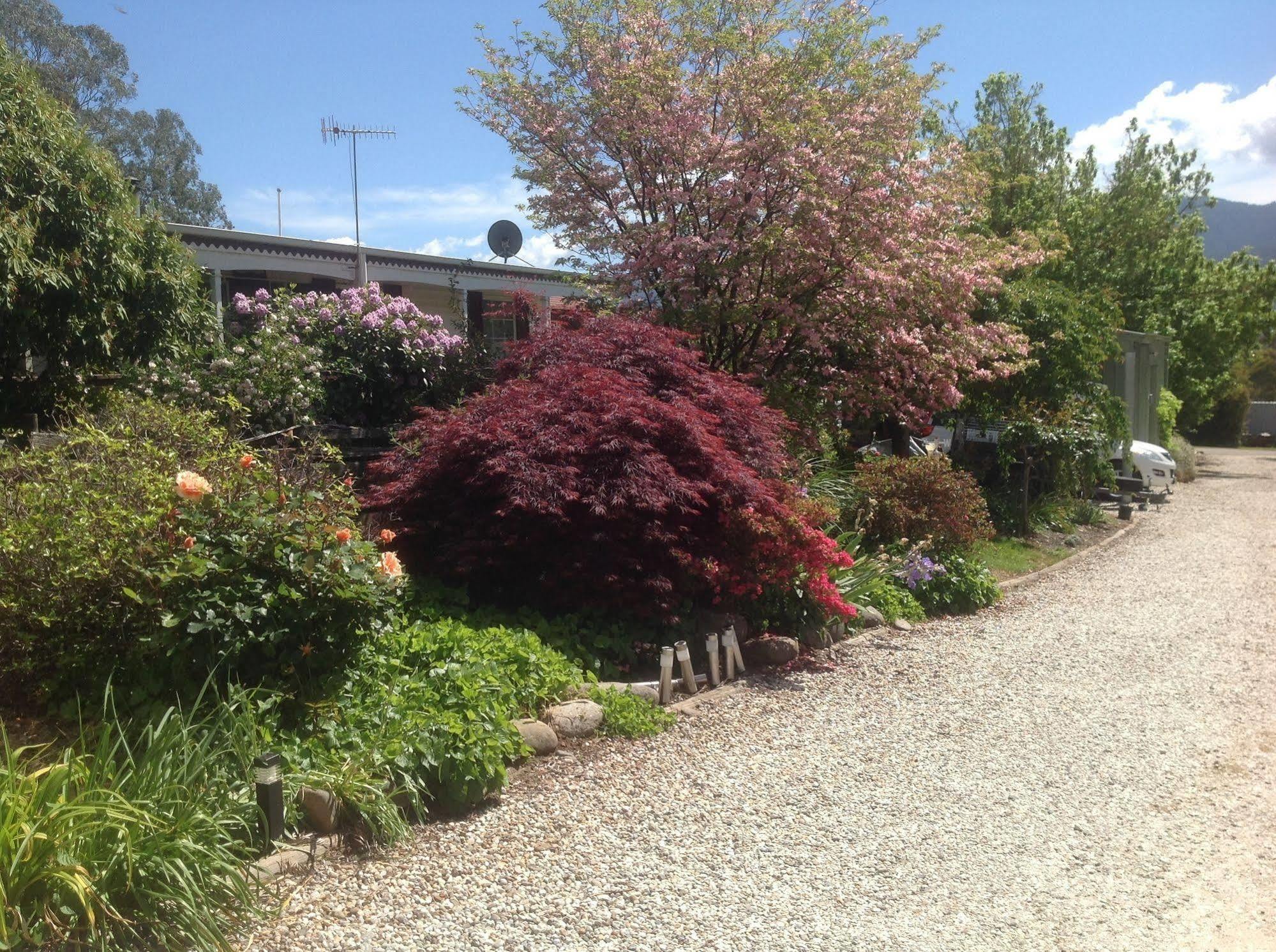 Bogong Moth Motel Mount Beauty Εξωτερικό φωτογραφία
